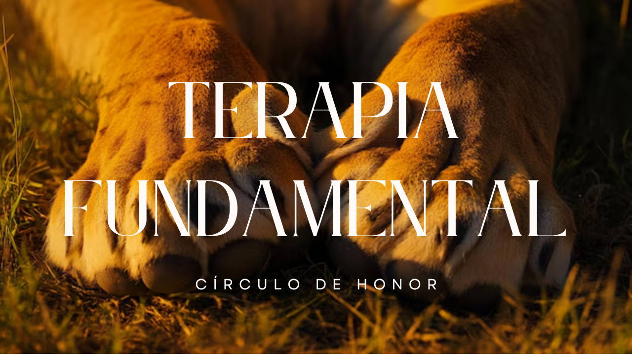 Protocolo de terapia CDH – Terapia Fundamental